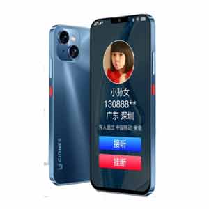 Gionee G13 Pro Price in UK